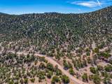 5.9 Acre Lot Camino Del Canon - Photo 16