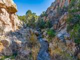 5.9 Acre Lot Camino Del Canon - Photo 24