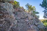 5.9 Acre Lot Camino Del Canon - Photo 34