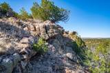 5.9 Acre Lot Camino Del Canon - Photo 35