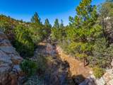 5.9 Acre Lot Camino Del Canon - Photo 37