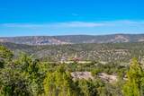 5.9 Acre Lot Camino Del Canon - Photo 42