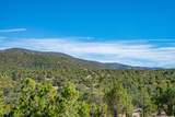 5.9 Acre Lot Camino Del Canon - Photo 44