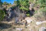 5.9 Acre Lot Camino Del Canon - Photo 46
