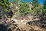 5.9 Acre Lot Camino Del Canon - Photo 49