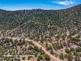 5.9 Acre Lot Camino Del Canon - Photo 5