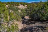 5.9 Acre Lot Camino Del Canon - Photo 50
