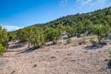 5.9 Acre Lot Camino Del Canon - Photo 51