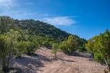 5.9 Acre Lot Camino Del Canon - Photo 9