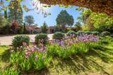 503 Camino Del Monte Sol - Photo 5