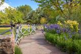 503 Camino Del Monte Sol - Photo 6