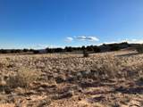 9 Acres Dulce Street - Photo 21
