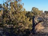 9 Acres Dulce Street - Photo 23