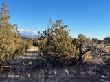 9 Acres Dulce Street - Photo 24