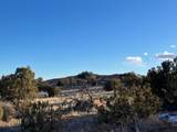 9 Acres Dulce Street - Photo 25