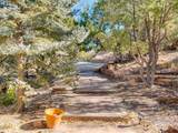 830 Camino De Jemez - Photo 53