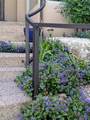 2 Concha Court - Photo 58