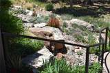 2 Concha Court - Photo 71