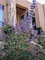 2 Concha Court - Photo 79