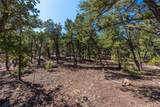 1412 Tesuque Creek Road - Photo 10