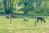 71 County Road 155 - Photo 61