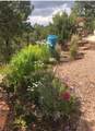 2558 Atalaya Hill Trail - Photo 59
