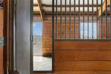 133 Jacinto Road - Photo 38