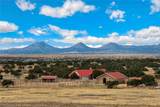 133 Jacinto Road - Photo 43
