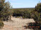 305 A Cr B29a - Photo 7