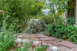 40 Paseo Del Antilope - Photo 22