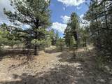 2318 Old Red River Road - Photo 24