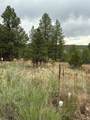 2318 Old Red River Road - Photo 30