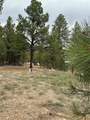 2318 Old Red River Road - Photo 31