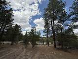 2318 Old Red River Road - Photo 32