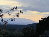 7 Longview - Photo 10