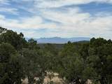 7 Longview - Photo 15