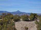 Tract 16-C Corona Drive - Photo 10