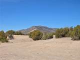 Tract 16-C Corona Drive - Photo 11