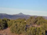 Tract 16-C Corona Drive - Photo 3