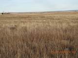0 Roan Avenue North - Photo 4