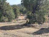 29 Sendero Alto - Photo 38