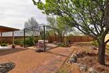 1558 Calle Angelina - Photo 32