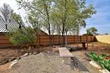 1558 Calle Angelina - Photo 33
