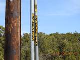 10 Pacheco Meadow Lane - Photo 10