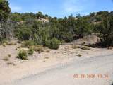 10 Pacheco Meadow Lane - Photo 12
