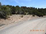 10 Pacheco Meadow Lane - Photo 13