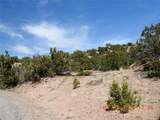 10 Pacheco Meadow Lane - Photo 15