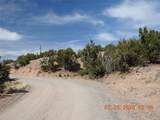 10 Pacheco Meadow Lane - Photo 16