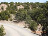 10 Pacheco Meadow Lane - Photo 3