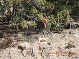 10 Pacheco Meadow Lane - Photo 6